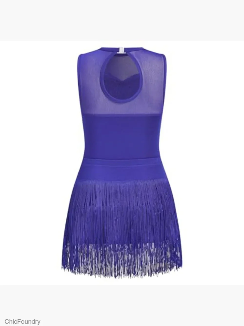 2PCS Girls Sequin Fringe Bodysuit & Tassel Skirt Dance Outfit